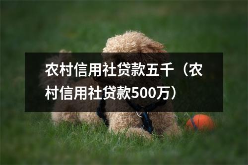 农村信用社贷款五千（农村信用社贷款500万）