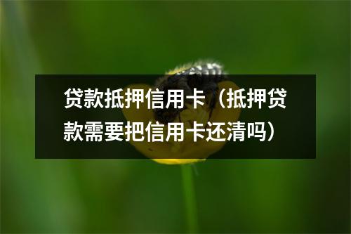 贷款抵押信用卡（抵押贷款需要把信用卡还清吗）