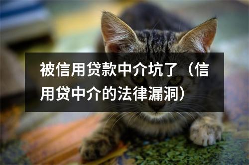 被信用贷款中介坑了（信用贷中介的法律漏洞）
