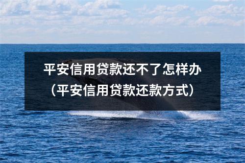 平安信用贷款还不了怎样办（平安信用贷款还款方式）