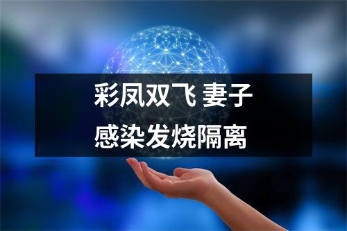 彩凤双飞 妻子感染发烧隔离