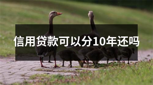 信用贷款可以分10年还吗