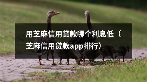用芝麻信用贷款哪个利息低(芝麻信用贷款app排行)