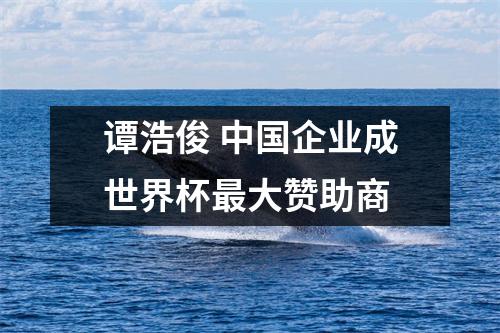 谭浩俊 中国企业成世界杯最大赞助商