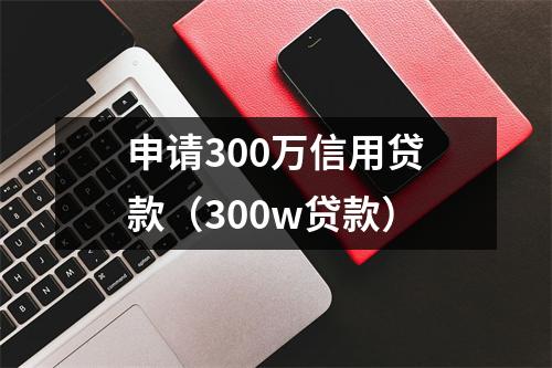 申请300万信用贷款(300w贷款)