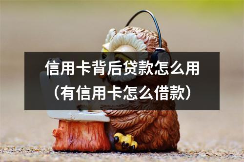 信用卡背后贷款怎么用（有信用卡怎么借款）