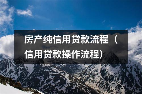 房产纯信用贷款流程（信用贷款操作流程）