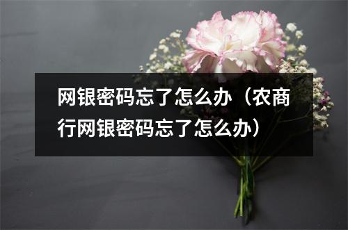 网银密码忘了怎么办（农商行网银密码忘了怎么办）