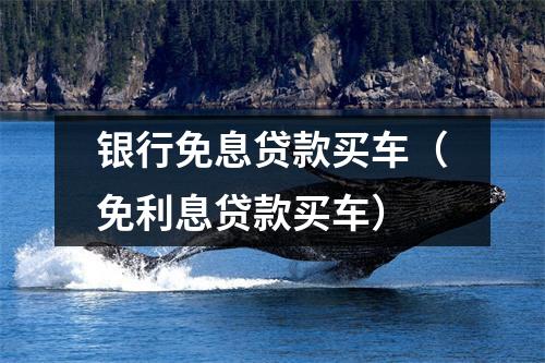 银行免息贷款买车（免利息贷款买车）