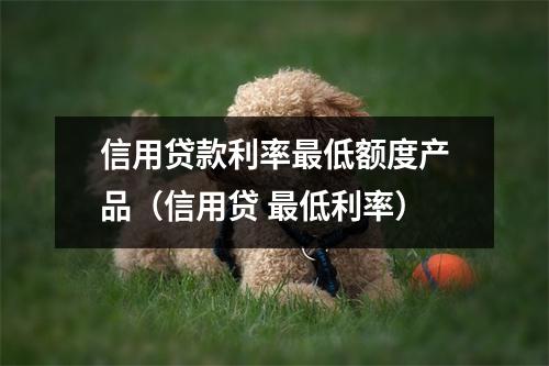信用贷款利率最低额度产品(信用贷 最低利率)