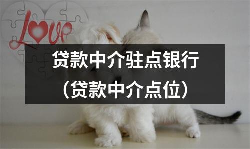 贷款中介驻点银行（贷款中介点位）