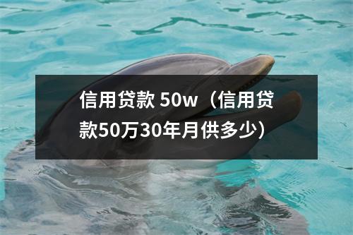 信用贷款 50w（信用贷款50万30年月供多少）