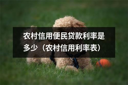 农村信用便民贷款利率是多少（农村信用利率表）