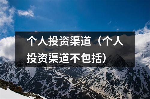个人投资渠道（个人投资渠道不包括）