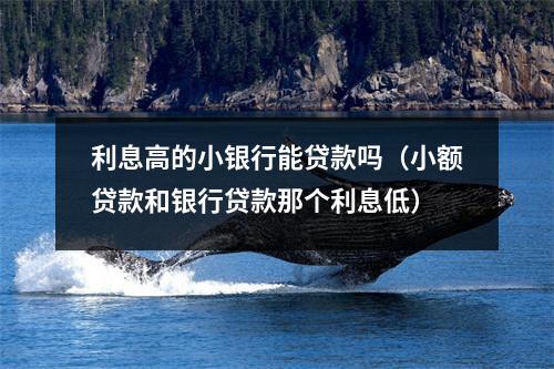 利息高的小银行能贷款吗（小额贷款和银行贷款那个利息低）