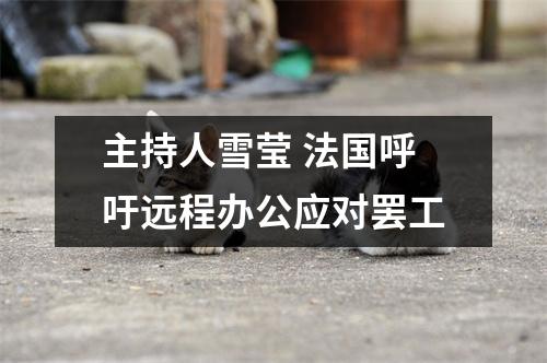 主持人雪莹 法国呼吁远程办公应对罢工