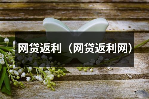 网贷返利（网贷返利网）
