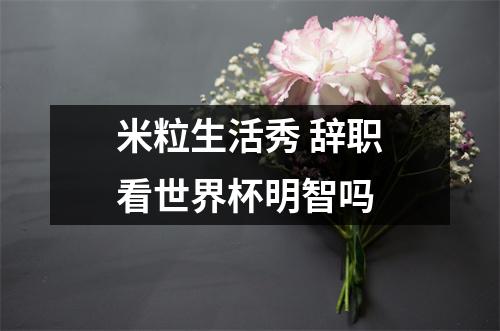 米粒生活秀 辞职看世界杯明智吗