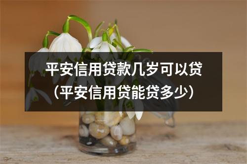 平安信用贷款几岁可以贷（平安信用贷能贷多少）