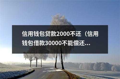 信用钱包贷款2000不还（信用钱包借款30000不能偿还了怎么办?）