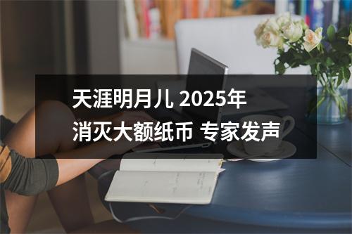 天涯明月儿 2025年消灭大额纸币 专家发声