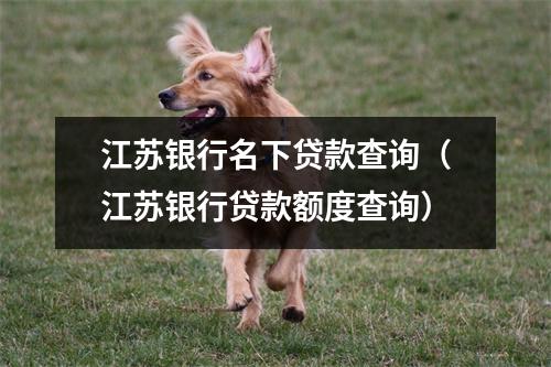 江苏银行名下贷款查询（江苏银行贷款额度查询）