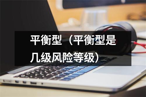 平衡型（平衡型是几级风险等级）