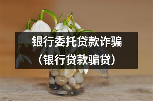 银行委托贷款诈骗（银行贷款骗贷）