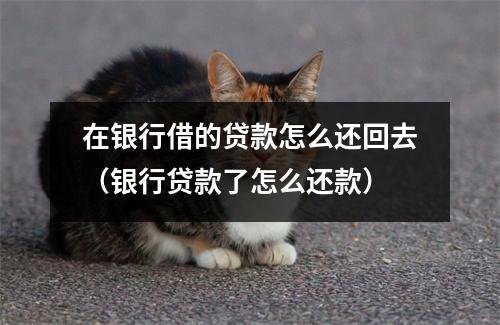 在银行借的贷款怎么还回去（银行贷款了怎么还款）