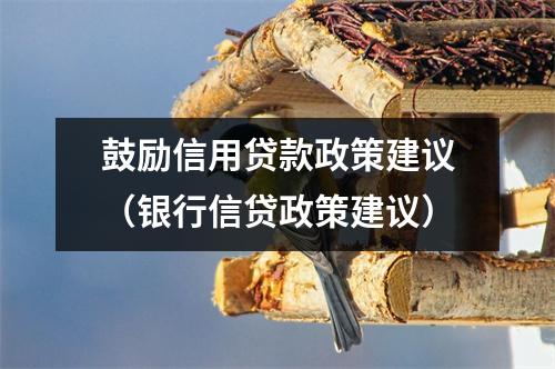 鼓励信用贷款政策建议（银行信贷政策建议）