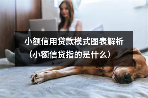 小额信用贷款模式图表解析(小额信贷指的是什么)