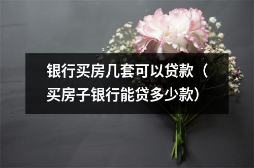 银行买房几套可以贷款（买房子银行能贷多少款）