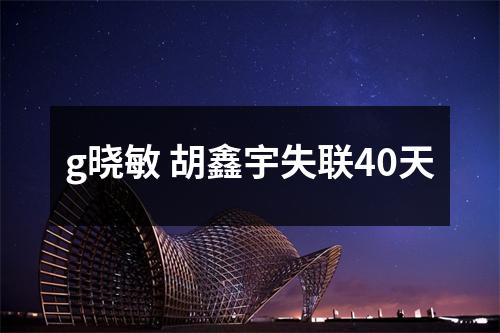g晓敏 胡鑫宇失联40天