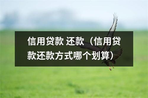 信用贷款 还款（信用贷款还款方式哪个划算）