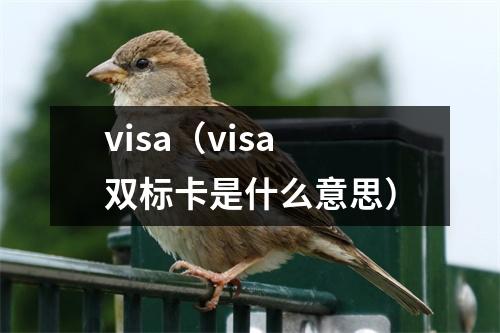 visa（visa双标卡是什么意思）