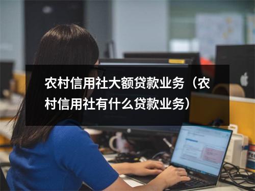 农村信用社大额贷款业务（农村信用社有什么贷款业务）