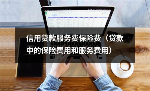 信用贷款服务费保险费（贷款中的保险费用和服务费用）