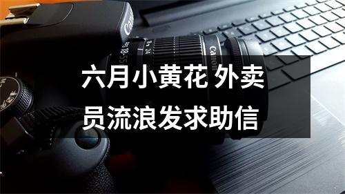 六月小黄花 外卖员流浪发求助信