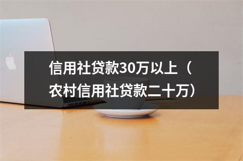 信用社贷款30万以上（农村信用社贷款二十万）