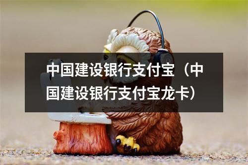中国建设银行支付宝（中国建设银行支付宝龙卡）