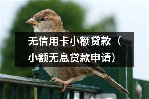 无信用卡小额贷款（小额无息贷款申请）