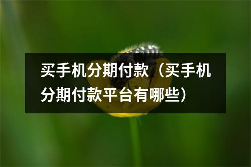 买手机分期付款（买手机分期付款平台有哪些）