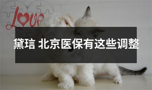 黛琂 北京医保有这些调整