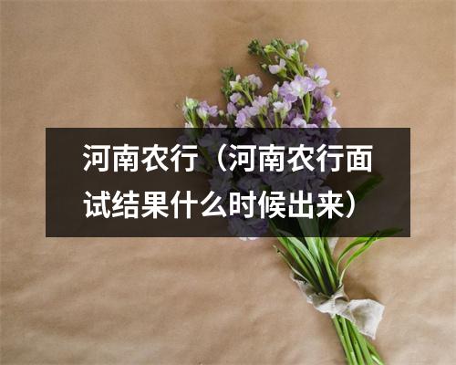 河南农行（河南农行面试结果什么时候出来）