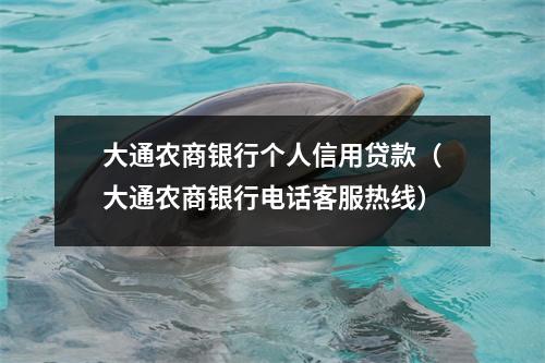 大通农商银行个人信用贷款（大通农商银行电话客服热线）