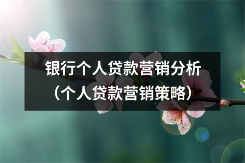 银行个人贷款营销分析（个人贷款营销策略）