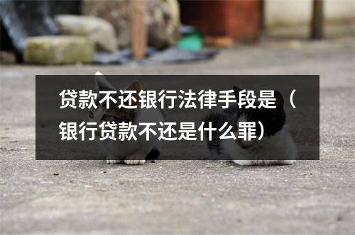 贷款不还银行法律手段是（银行贷款不还是什么罪）