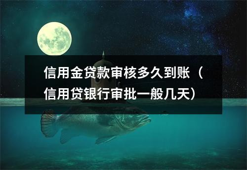 信用金贷款审核多久到账（信用贷银行审批一般几天）