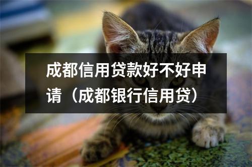 成都信用贷款好不好申请（成都银行信用贷）