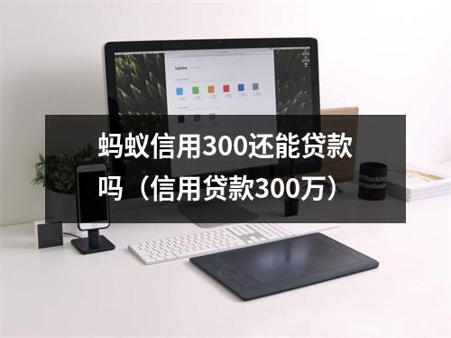 蚂蚁信用300还能贷款吗（信用贷款300万）